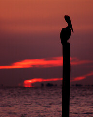 Sunrise in Florida, Sunset in Florida, Beaches, Sand, Water, Sub, Relaxation