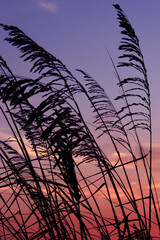 Sunrise in Florida, Sunset in Florida, Beaches, Sand, Water, Sub, Relaxation