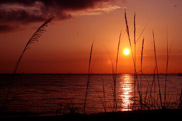 Sunrise in Florida, Sunset in Florida, Beaches, Sand, Water, Sub, Relaxation