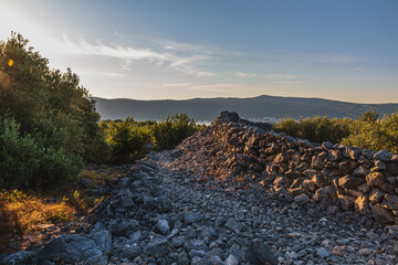 Old olive trees early in the morning between large stones on the Adriatic coast