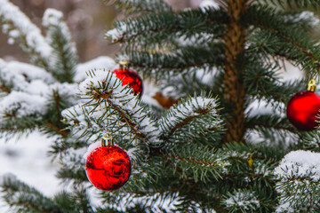 The Christmas tree is decorated with decorations and sprinkled with soft snow.