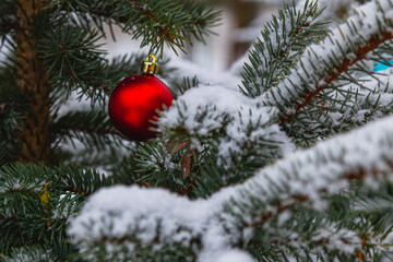 The Christmas tree is decorated with decorations and sprinkled with soft snow.