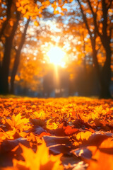 Autumn Sunset Landscape, Golden Leaves Illustration