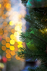 Christmas tree. Christmas lights and fir branches. Christmas texture for postcards. Out of focus.