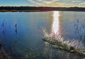 A log of wood falling into a lake with frozen spray