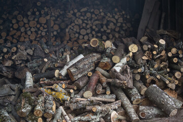 A large pile of sawn trees lies in a barn.