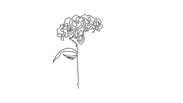 Animated self drawing of continuous line draw beauty brain celosia for home wall art decor poster print. Printable decorative cockscomb flower for wedding invitation. Full length single line animation
