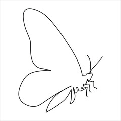 Fototapeta premium Continuous single line of butterfly icon outline vector art illustration isolated design