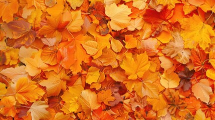 Autumn leaves stack in the park, abstract backdrop.