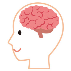 脳のイメージ　健康