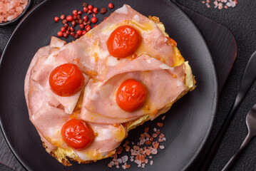 Sandwich with brioche, meat, melted cheese, ham, tomatoes, salt, spices and herbs