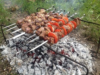meat on the grill