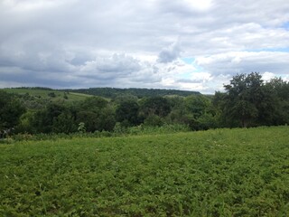 field and blue sky