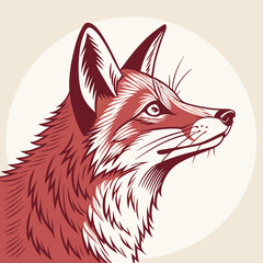 red fox cartoon