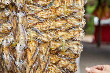 Fish in the sun drying hanging for sale at market