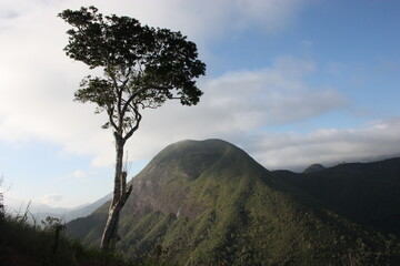 Mountain in Nova Friburgo, Brazil
