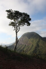 Mountain in Nova Friburgo, Brazil