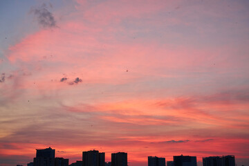 Vibrant Pink Sunset Sky with City Silhouettes