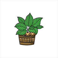 Fresh plant in pot hand drawn illustration artwork