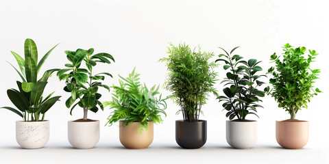 Obraz premium Set of various potted plants isolated on a white back AI Image