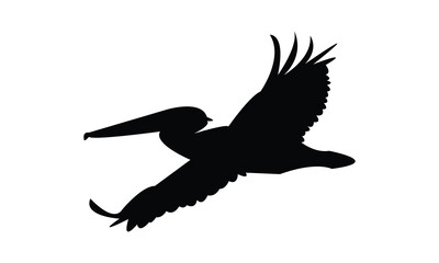 Flying Pelican Bird Silhouette Design  And Vector Illustration. 
