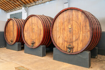Oak aging barrels for wine, Vista Alegre Winery, Ica, Peru