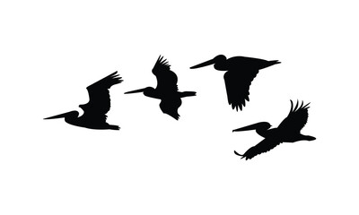 Flying Pelican Bird Silhouette Design  And Vector Illustration. 
