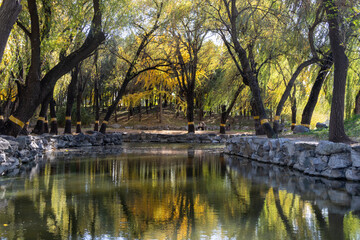 Beautiful autumn view of Yuanmingyuan Park in Beijing, China
