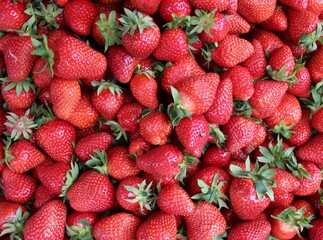 Strawberry full frame. Fresh strawberry Image