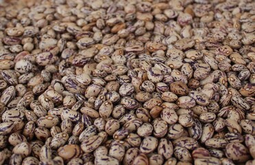 brown bean full frame background - Image