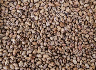 brown bean full frame background - Image