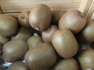 Kiwi fruit close up view of assorted fresh and juicy  kiwifruit as background.