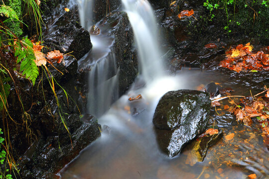 Miniature unnamed waterfall, Pyrddin Gorge, Pontneddfechan, Neath Valley, South Wales, United Kingdom