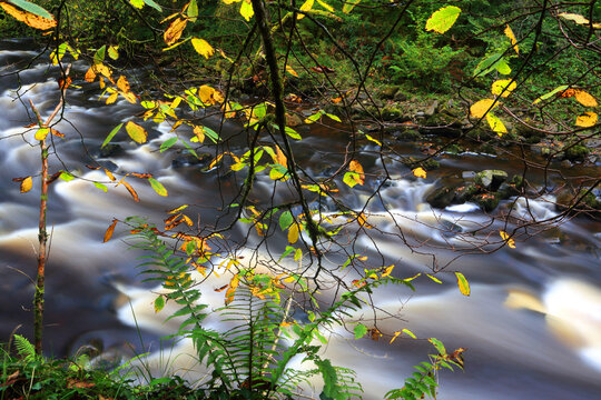 River Pyrddin, Pontneddfechan, Neath Valley, South Wales, United Kingdom