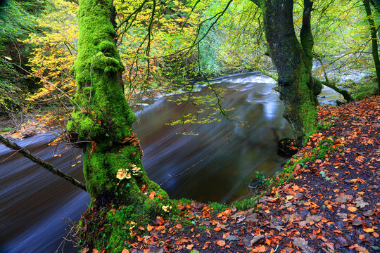 River Pyrddin, Pontneddfechan, Neath Valley, South Wales, United Kingdom