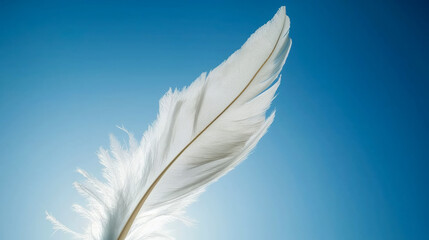 Obraz premium Feather glides gracefully against a stunning azure sky, capturing the essence of lightness and beauty in natures artistry.