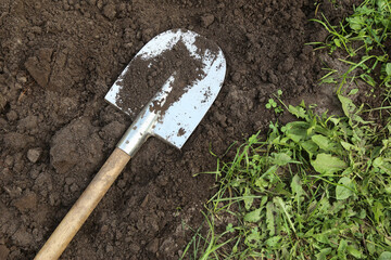 Brown dark humus, soil ground and shovel on garden bed with green grass in garden top view. Organic...