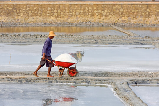 Man pushing wheel barrow full of salt, Salt fields at Karangjahe, near Lasem, Java island, Indonesia, Southeast Asia