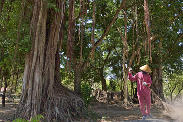Sweeper at Prambanan Temple Compounds, UNESCO World Heritage Site, region of Yogyakarta, Java island, Indonesia, Southeast Asia