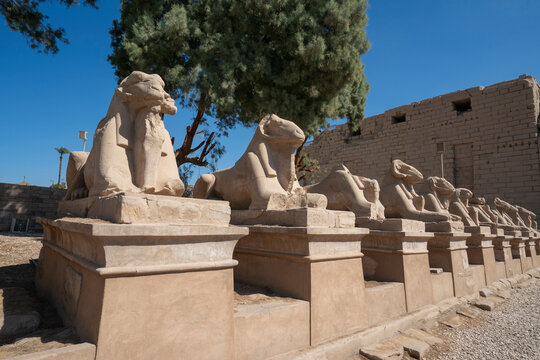 Avenue of Sphinxes, Temple complex of Karnak, UNESCO World Heritage Site, Thebes, Egypt, North Africa