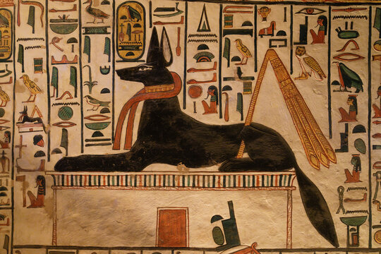 Anubis, Tomb of Nefertari, Valley of the Queens, UNESCO World Heritage Site, Thebes, Egypt, North Africa