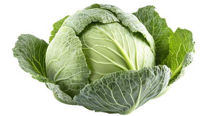 Fototapeta premium Cabbage isolated on white background, clipping path, full depth of field.