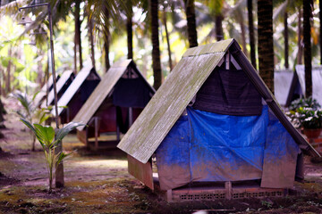 Tents in camp accommodation for vacation, An Giang Province, Mekong Delta, Vietnam, Indochina, Southeast Asia