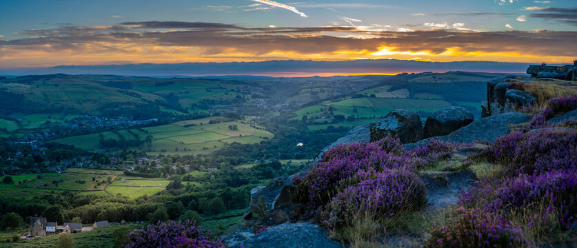 View of landscape from Curbar Edge with purple flowering heather at sunset, Peak District National Park, Baslow, Derbyshire, England, United Kingdom