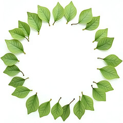Green leaves circle border copy space area