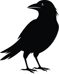 Minimalistic Bird Silhouette Vector Design