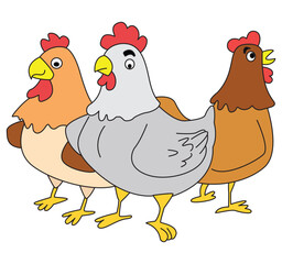 Cartoon three Hens Talking