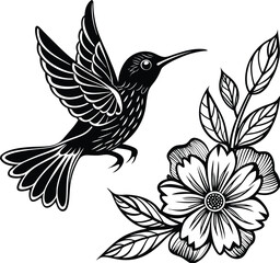 Sunbird among vibrant petals on white background