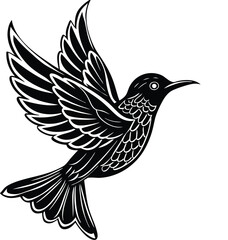 Sunbird among vibrant petals on white background