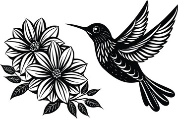 Sunbird among vibrant petals on white background